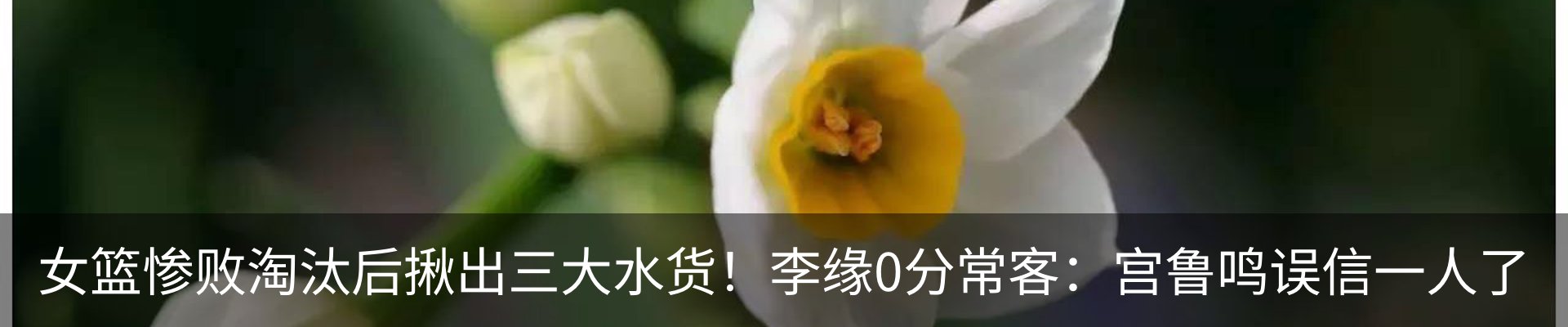 资讯动态