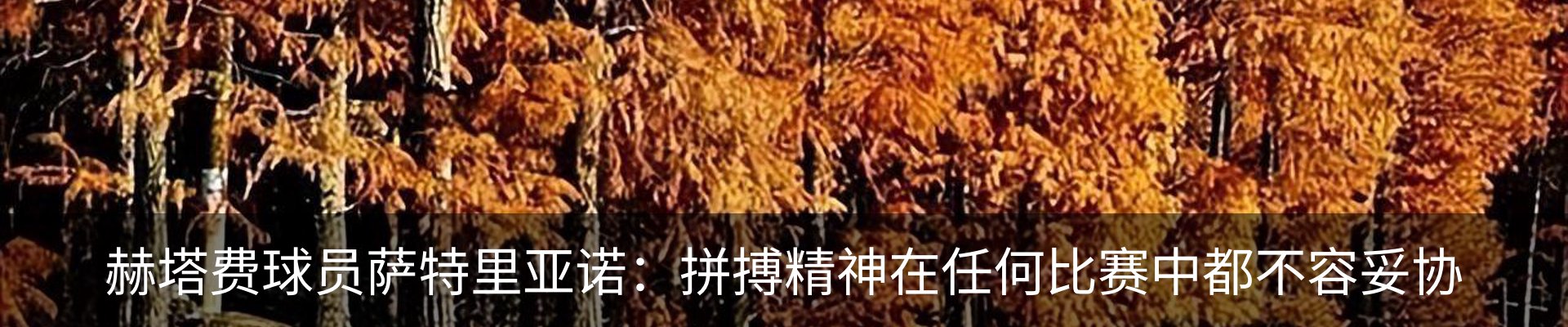 资讯动态